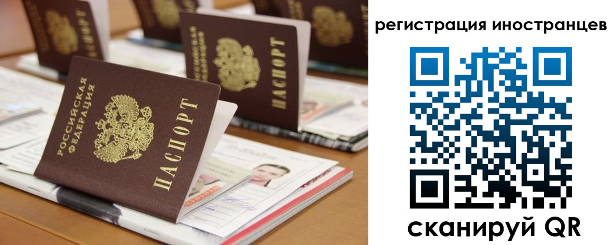 пропишу в квартире в Старой Купавне